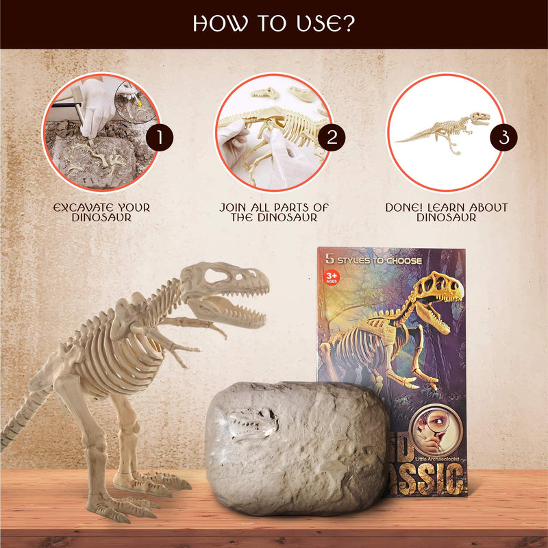 [Australia - AusPower] - Buddy N Buddies Dinosaur Fossil Excavation Kits ,Children's Popular Science Education Toys (Skullcruncher) Skullcruncher 