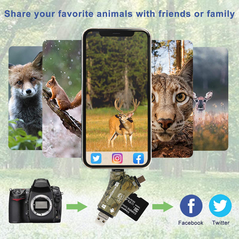 [Australia - AusPower] - Liplasting Trail Camera Viewer SD Card Reader for iPhone iPad Mac & Android, 4 in 1 SD/Micro SD/TF Memory Card Reader Adapter to View Hunting Game Camera Photos or Videos on Smartphone 