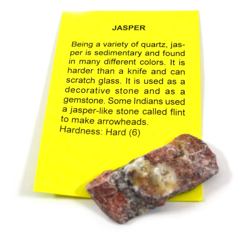 [Australia - AusPower] - Premium Mineral Collection with 15 Identified Specimens and 4.5X Hand Lens 