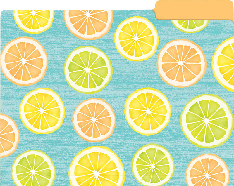 [Australia - AusPower] - Teacher Created Resources Lemon Zest File Folders, Model: TCR8542 
