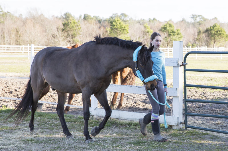 [Australia - AusPower] - Intrepid International Halter Fleece Set Navy 