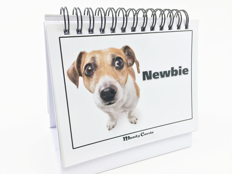 [Australia - AusPower] - Office Gift for Dog Lovers - Moodycards! Make Everyone Laugh with These Adorable and Hilarious Dog Memes - Let The Dogs Tell Everyone How You Feel! A Terrific Office Gift! 25 Different Moods 