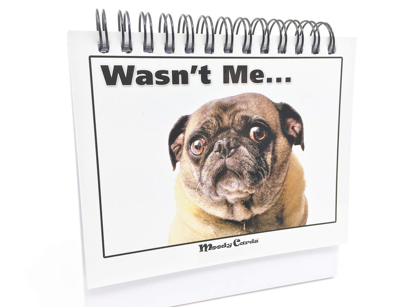 [Australia - AusPower] - Office Gift for Dog Lovers - Moodycards! Make Everyone Laugh with These Adorable and Hilarious Dog Memes - Let The Dogs Tell Everyone How You Feel! A Terrific Office Gift! 25 Different Moods 