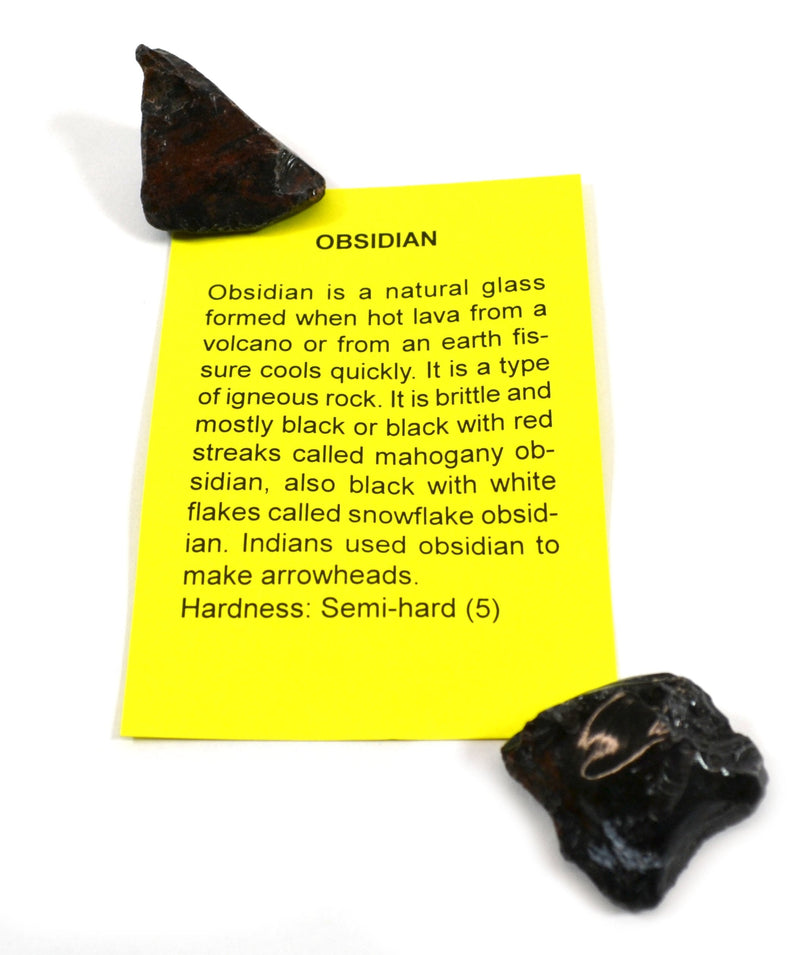 [Australia - AusPower] - Premium Mineral Collection with 15 Identified Specimens and 4.5X Hand Lens 