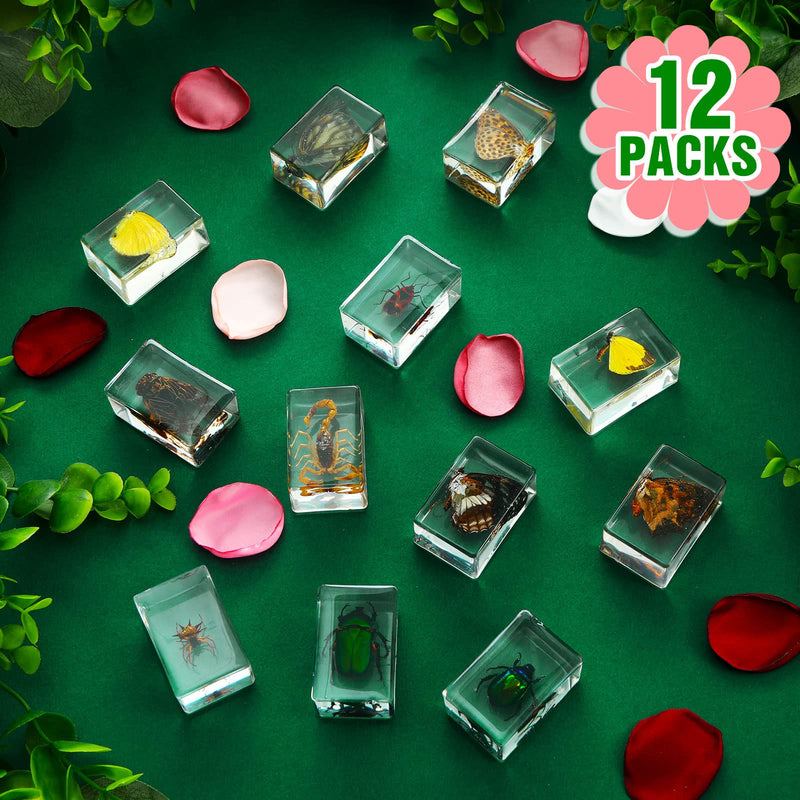 [Australia - AusPower] - 12 Pcs Insect in Resin Specimen Bugs Collection Paperweights Arachnid Resin Specimen Different Insect Specimen Bug Preserved in Resin for Kids Scientific Educational Toy, 12 Styles (Butterfly) Butterfly 