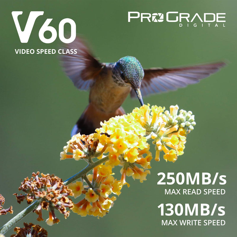 [Australia - AusPower] - Prograde Digital SD UHS-II 128GB Card V60 –Up to 130MB/s Write Speed and 250 MB/s Read Speed | for Professional Vloggers, Filmmakers, Photographers & Content Curators 