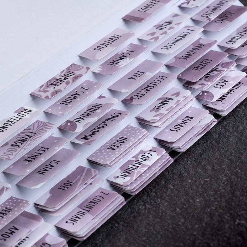 [Australia - AusPower] - DiverseBee Laminated Bible Tabs (Large Print, Easy to Apply), Bible Study Journaling Supplies, 77 Bible Index Book Tabs for Women, Bible Accessories, Includes 11 Blank Tabs - Amethyst Theme 