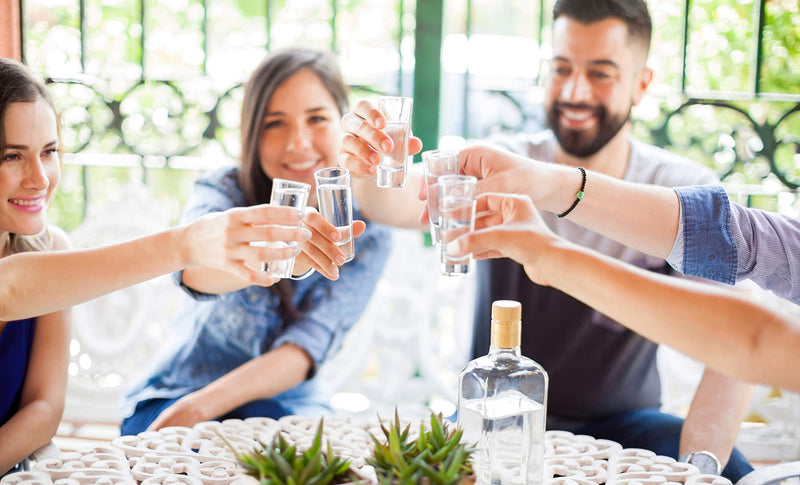 [Australia - AusPower] - Lillian Rose Set of 4 Tall Shot Glasses, 4", Clear 
