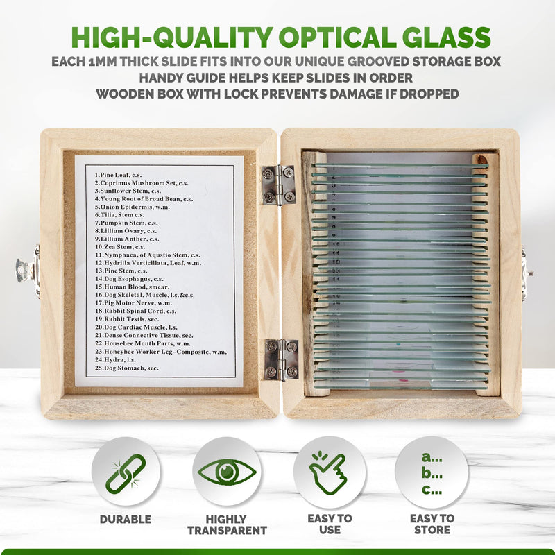 [Australia - AusPower] - AmScope PS25 Prepared Microscope Slide Set for Basic Biological Science Education, 25 Slides, Includes Fitted Wooden Case Brown 