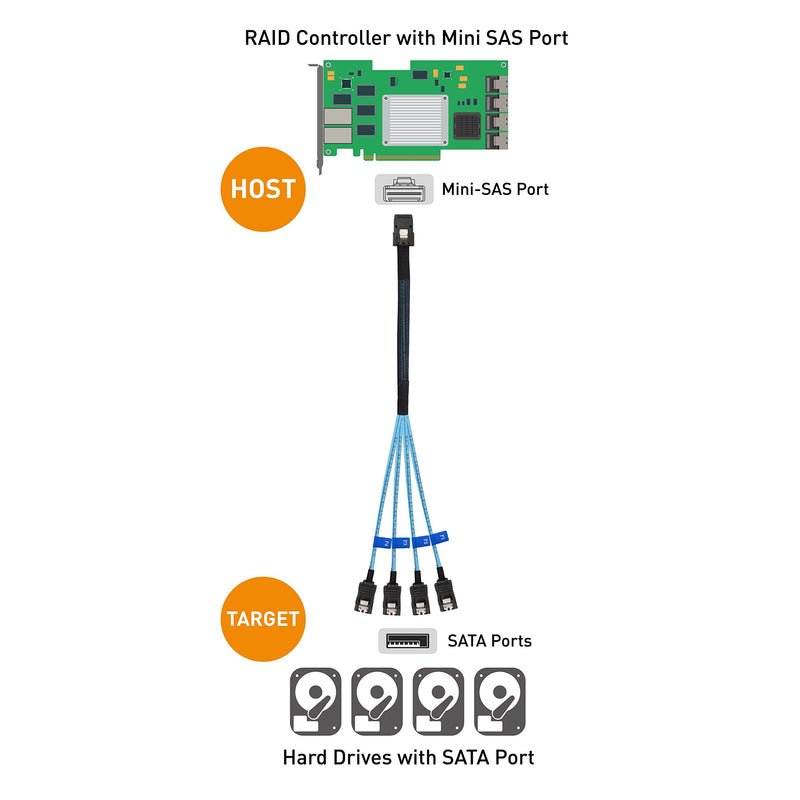 [Australia - AusPower] - Cable Matters Internal Mini SAS to SATA Cable 3.3 Feet (SFF-8087 to SATA Forward Breakout) 