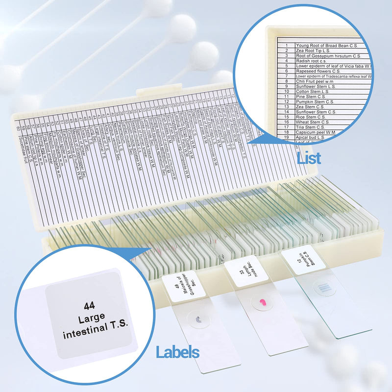 [Australia - AusPower] - 60 Microscope Slides with Specimens for Kids, Prepared Microscope Slides for Kids Microbiology, Prepared Microscope Slides for Adults 60 pcs 