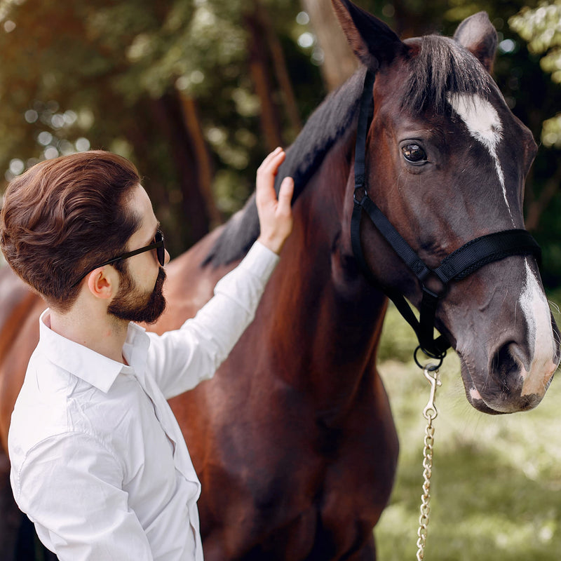 [Australia - AusPower] - yashchykov Personalized Horse Halter - Strong Nylon Halters for Horses with Adjustable Crown, Noseband and Cheek Piece - Durable and Padded Horse Halters for Cob, Full, Warmblood and Draft Horse 