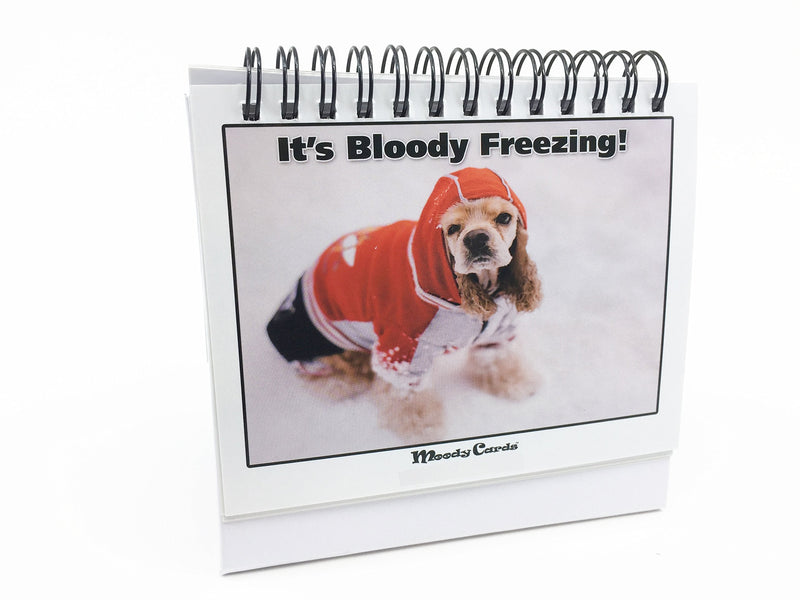 [Australia - AusPower] - Office Gift for Dog Lovers - Moodycards! Make Everyone Laugh with These Adorable and Hilarious Dog Memes - Let The Dogs Tell Everyone How You Feel! A Terrific Office Gift! 25 Different Moods 