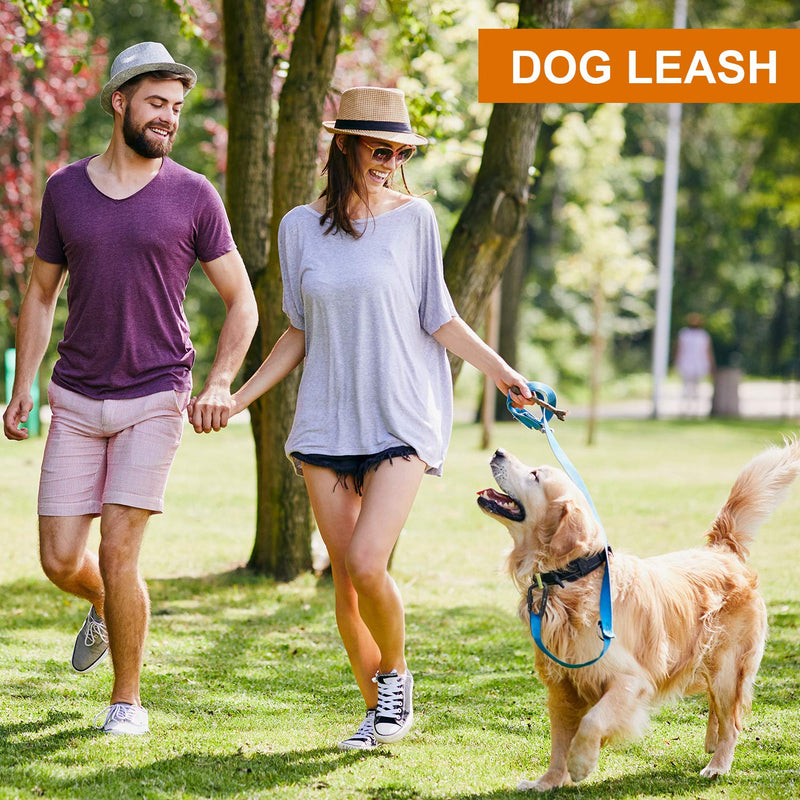 [Australia - AusPower] - Favofit Locking Carabiner Clips, 4 Pack, 12KN (2697 lbs Each) Heavy Duty Caribeaners for Camping, Hiking, Outdoor & Gym etc, Small Carabiners for Dog Leash & Harness 