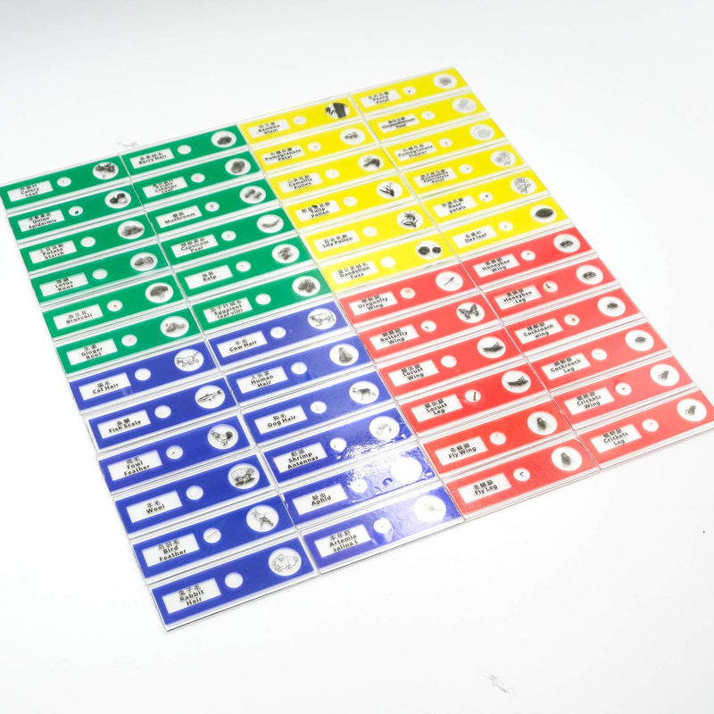 [Australia - AusPower] - QIXINSTAR 48pcs Prepared Plastic Microscope Slides Biological Specimen with 4 Boxes for Children Student Enlighten Education 
