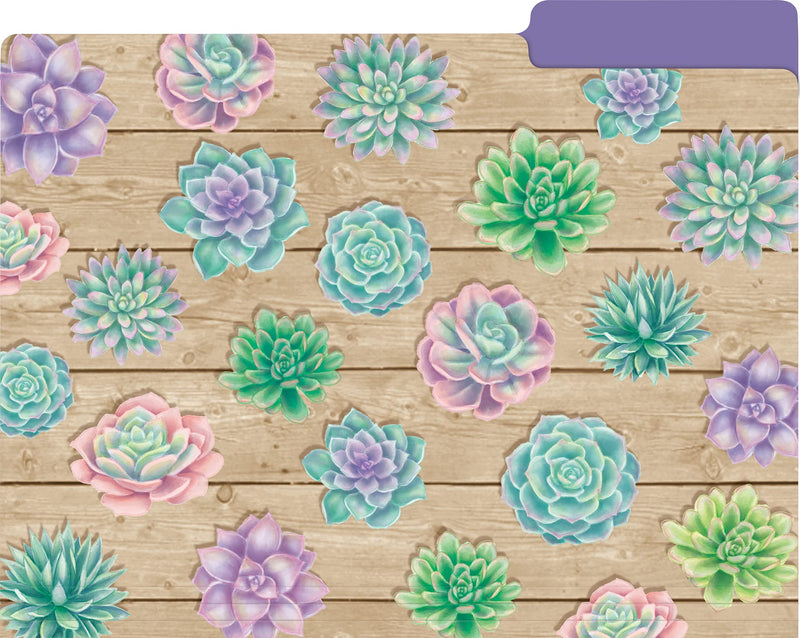 [Australia - AusPower] - Teacher Created Resources Rustic Bloom File Folders (TCR8539) 
