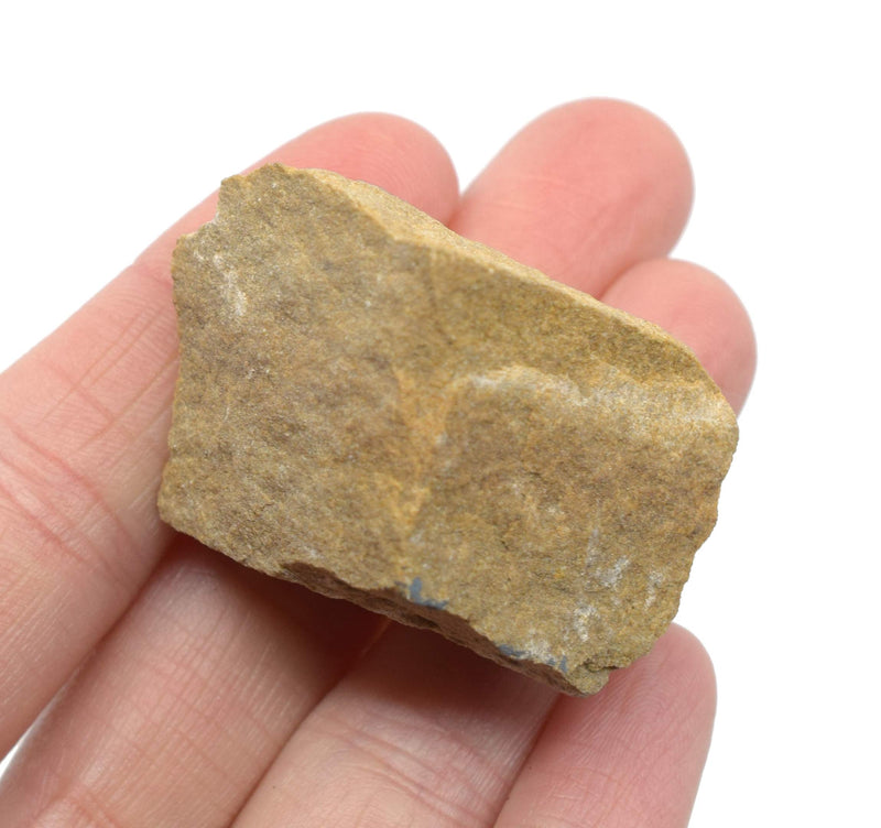 [Australia - AusPower] - Raw White Sandstone, Sedimentary Rock Specimen - Approx. 1" - Geologist Selected & Hand Processed - Great for Science Classrooms - Eisco Labs 