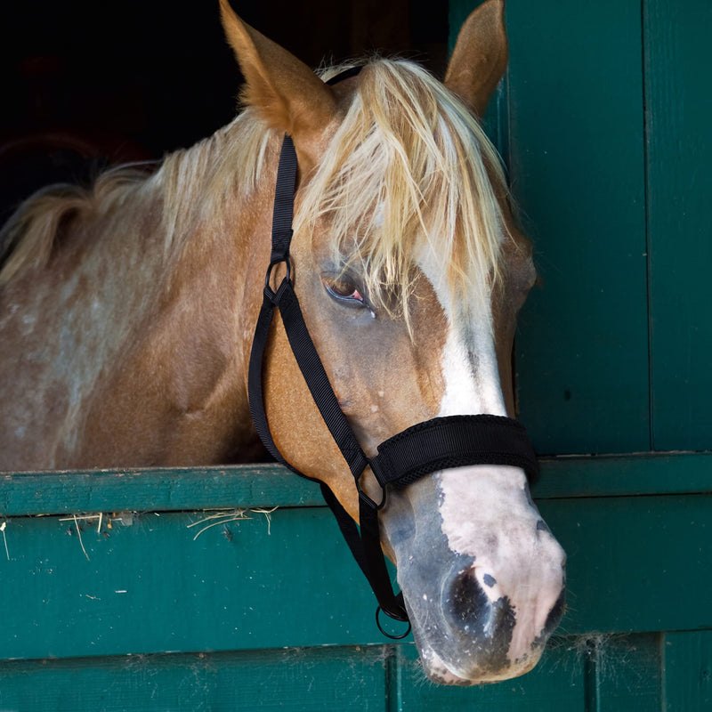 [Australia - AusPower] - yashchykov Personalized Horse Halter - Strong Nylon Halters for Horses with Adjustable Crown, Noseband and Cheek Piece - Durable and Padded Horse Halters for Cob, Full, Warmblood and Draft Horse 