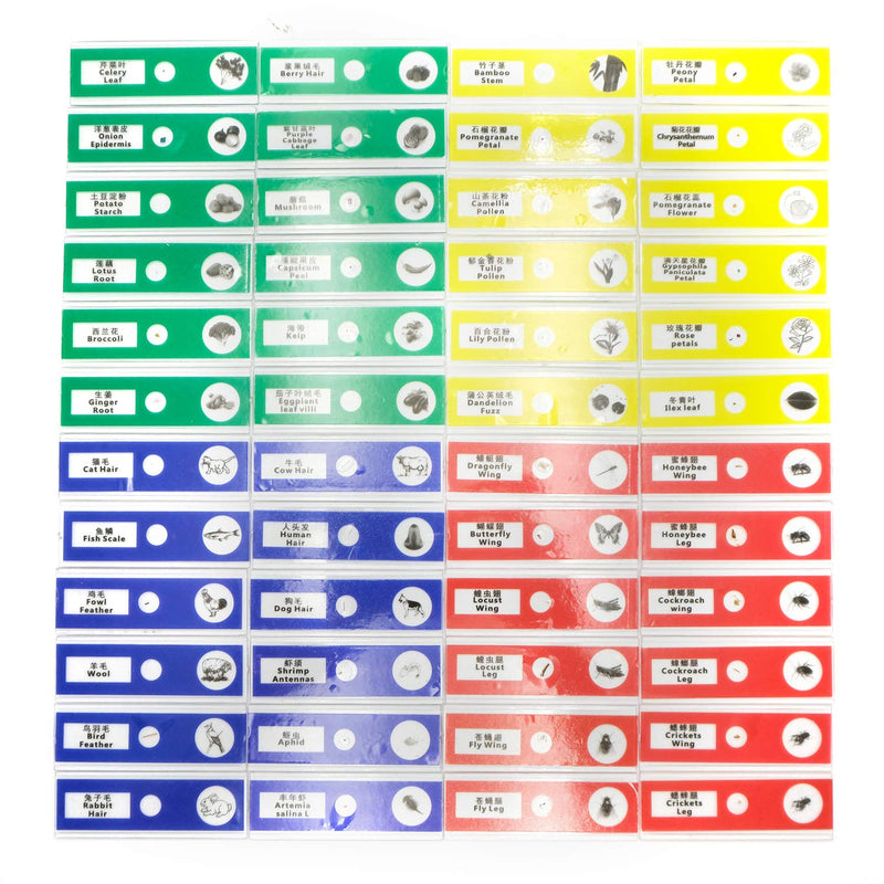 [Australia - AusPower] - QIXINSTAR 48pcs Prepared Plastic Microscope Slides Biological Specimen with 4 Boxes for Children Student Enlighten Education 