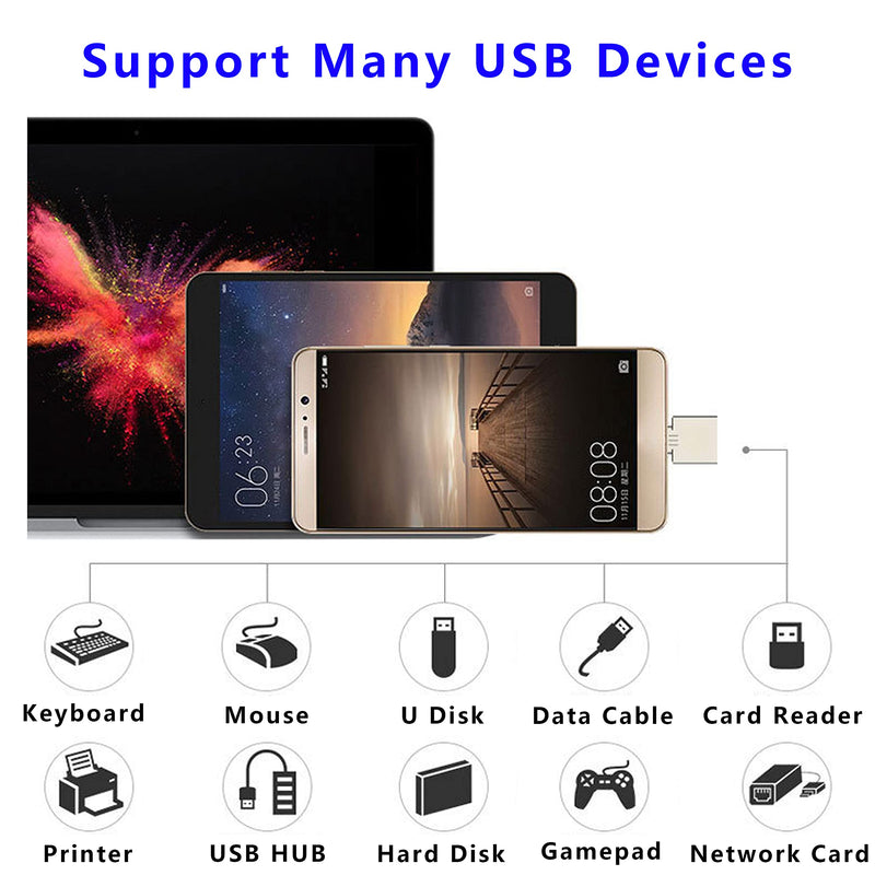 [Australia - AusPower] - Mini OTG Adapter，Ultra Mini DM USB C Type-C 2.0 OTG Cell Phone Connector is Suitable for Computers, Laptops, Mobile USB Flash Disk, USB Cables - 5 Pack (Silver-USB C) 