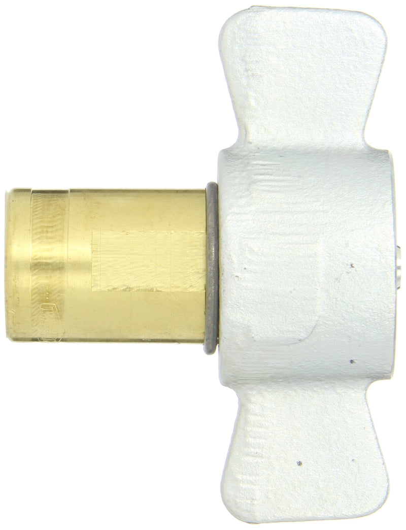 [Australia - AusPower] - Dixon Valve 6WF4-B Brass Wingstyle Interchange Hydraulic Fitting, Coupler, 3/4" Coupling x 1/2" - 14 NPTF Female Thread 