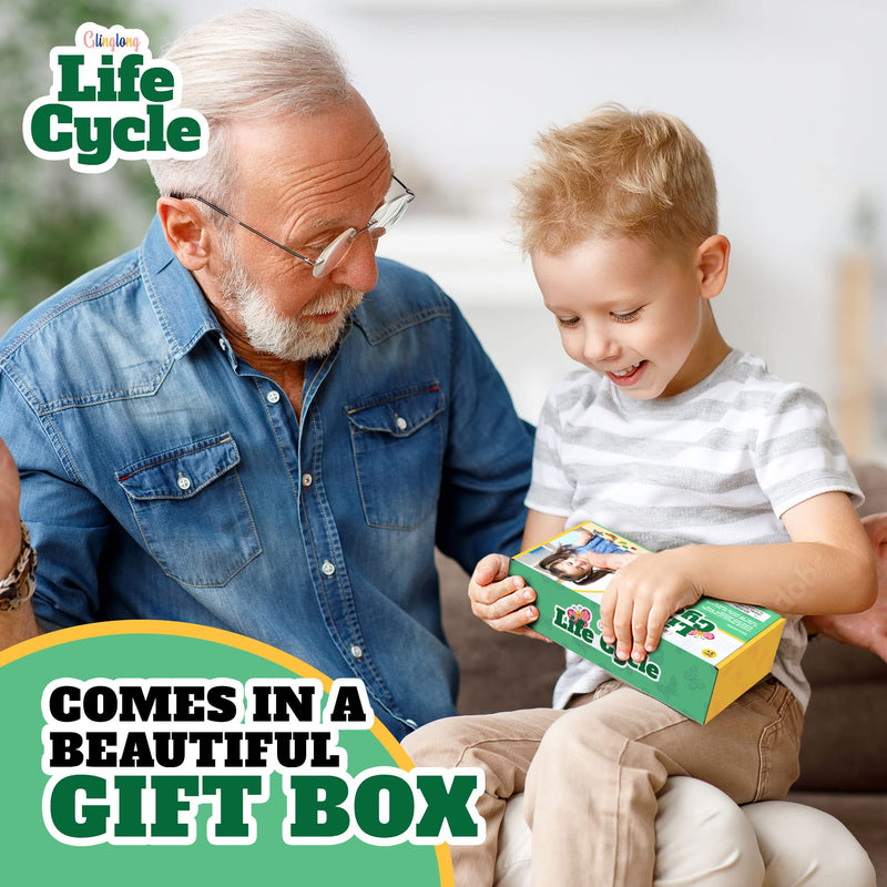 [Australia - AusPower] - GLINGLONG Life Cycle Kit Toy Montessori - Realistic Figurine Toys, Kids Figure Animal Match Set with Frog, Ladybug, & More - Includes 24-Piece Animals, Educational & Fun Matching Game for Children 3+ 