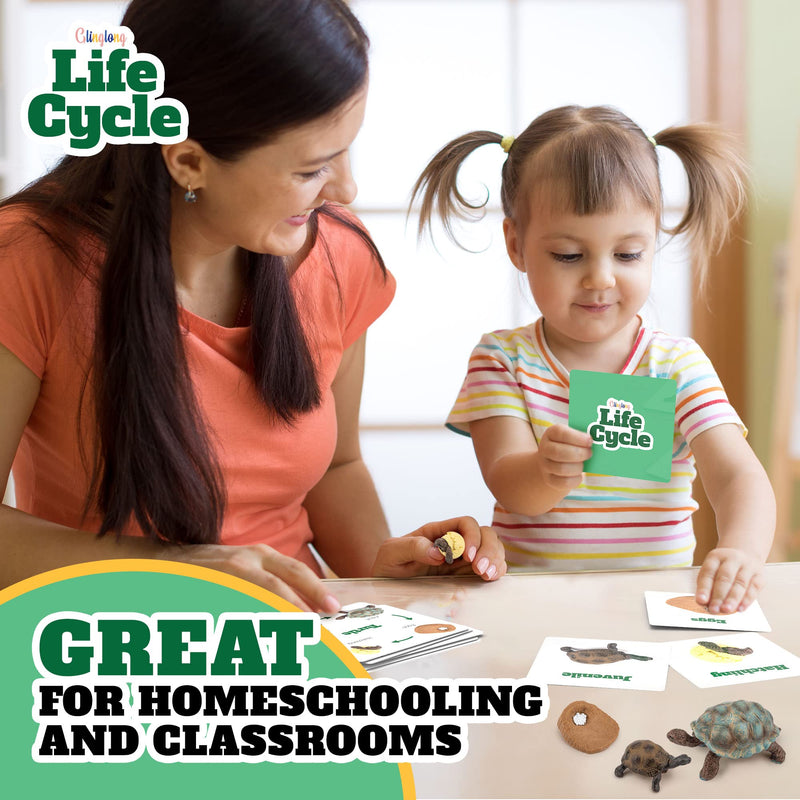 [Australia - AusPower] - GLINGLONG Life Cycle Kit Toy Montessori - Realistic Figurine Toys, Kids Figure Animal Match Set with Frog, Ladybug, & More - Includes 24-Piece Animals, Educational & Fun Matching Game for Children 3+ 