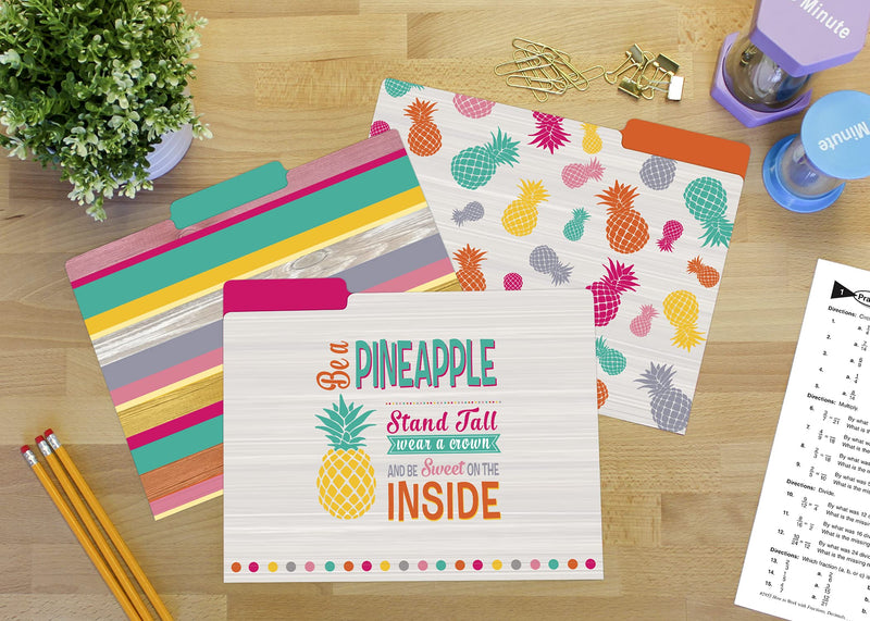 [Australia - AusPower] - Teacher Created Resources Tropical Punch File Folders (TCR8538) 