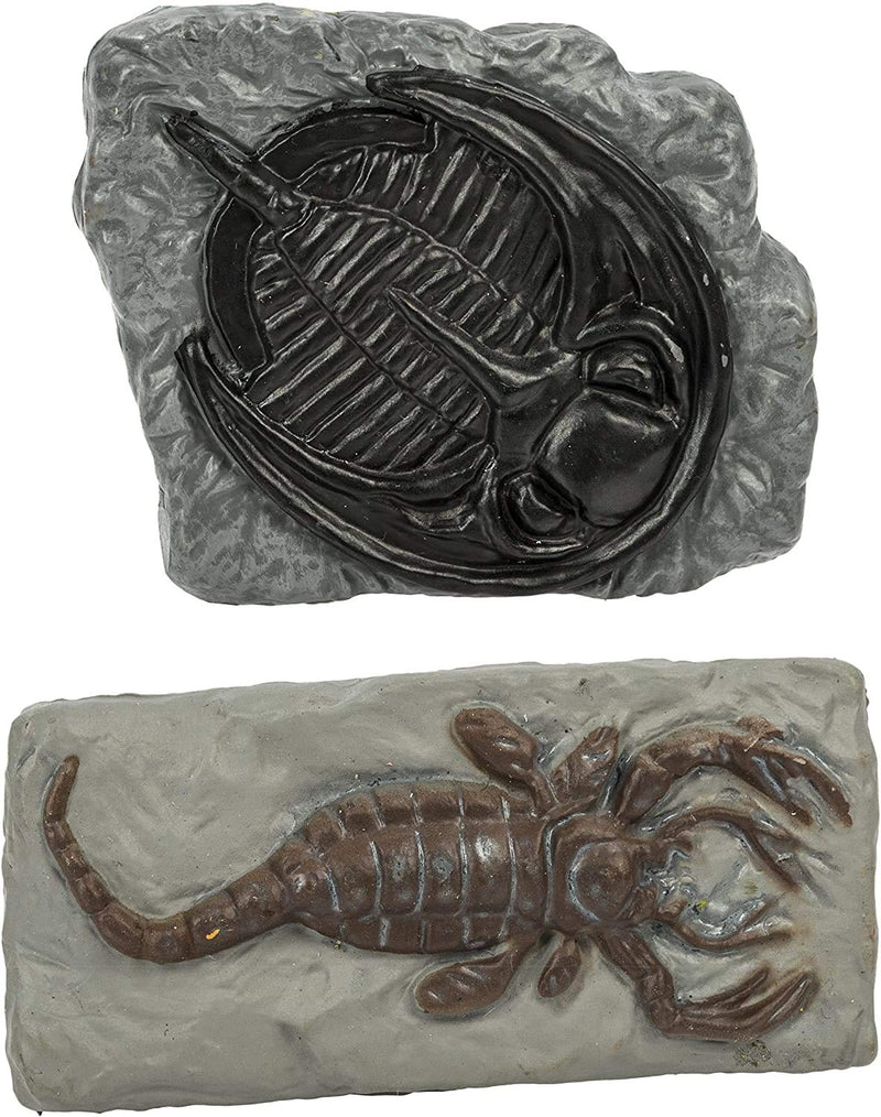 [Australia - AusPower] - Safari Ltd Ancient Fossils TOOB with 10 Toy Figurines Including Dino Footprint, Giant Crab, Ammonite, Raptor Claw, Fossilized Frog, Trilobite, T-Rex Tooth, Fossilized Fish, Dino Skin, and Sea Scorpion 