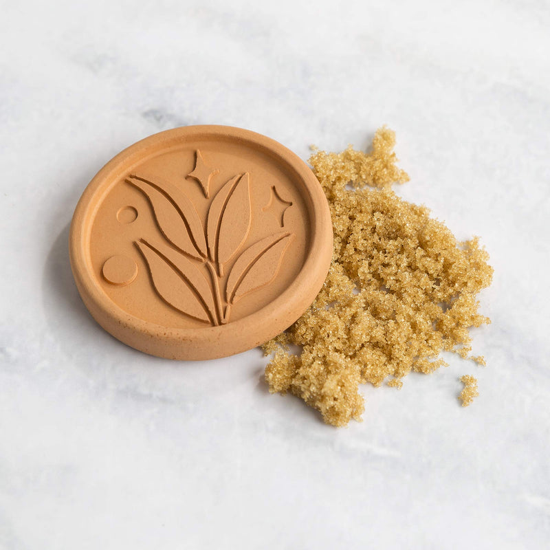 [Australia - AusPower] - Goodful Brown Sugar Saver and Softener Disc with Elegant Leaf Design, Multiple Uses for Food Storage Containers, Reusable and Food Safe, Terracotta, 2 Pack Sugar Saver 2-Pack 