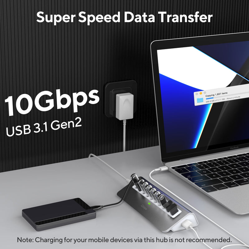 [Australia - AusPower] - Powered USB Hub, intpw 10 Port USB 3.1 Hub with 10Gbps Data Transfer, 30W(12V/2.5A) Power Adapter, USB Type A and Type C Cable, Aluminum USB Splitter for Laptop, MacBook and Desktop Computer 