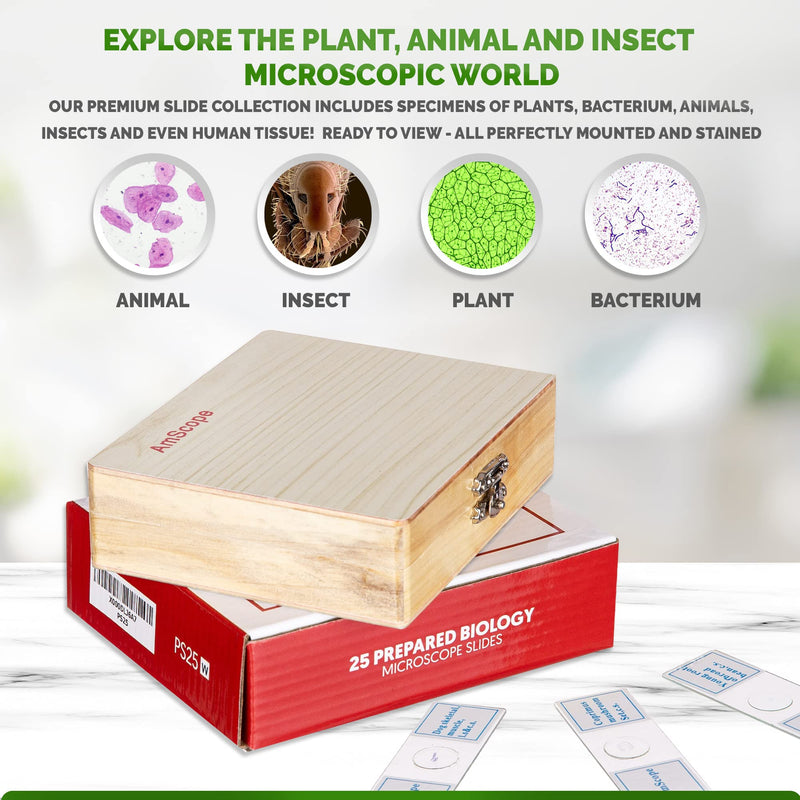 [Australia - AusPower] - AmScope PS25 Prepared Microscope Slide Set for Basic Biological Science Education, 25 Slides, Includes Fitted Wooden Case Brown 
