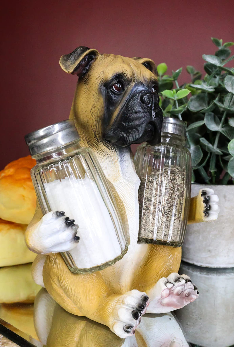 [Australia - AusPower] - Ebros Gift Realistic Fawn Boxer Puppy Dog Hugging Glass Salt Pepper Shakers Holder Decorative Statue 6.25"High Resin Dogs Boxers Memorial Pets Pet Pal Animal Home Kitchen Spice Organizer Figurine 
