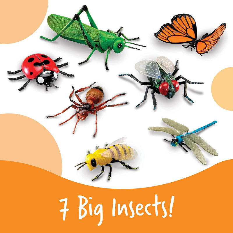 [Australia - AusPower] - Learning Resources Jumbo Insects - 7 Pieces, Ages 3+ Toddler Learning Toys, Animal Toys for Kids, Preschool Science Learning Toys 