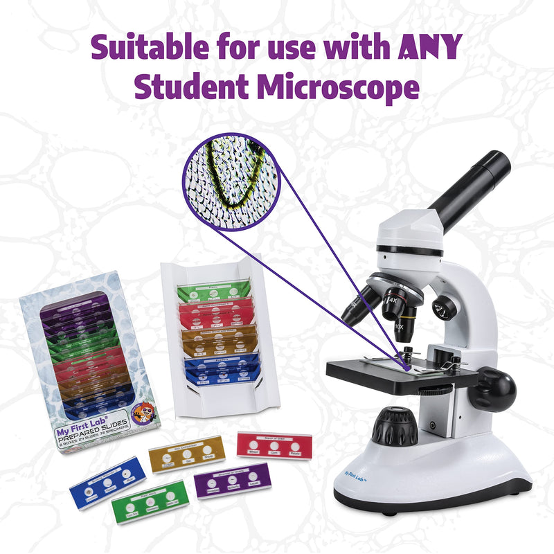 [Australia - AusPower] - Prepared Microscope Slide Kit (72 Specimens) for Basic to Intermediate Biological Education -- Shatterproof Microscope Slides for Kids w/ 72 Unique Specimens of Plants, Algae, Pollen & More 