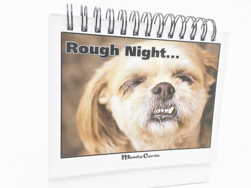 [Australia - AusPower] - Office Gift for Dog Lovers - Moodycards! Make Everyone Laugh with These Adorable and Hilarious Dog Memes - Let The Dogs Tell Everyone How You Feel! A Terrific Office Gift! 25 Different Moods 