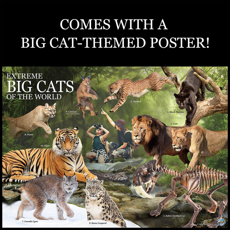 [Australia - AusPower] - WILD ENVIRONMENTAL SCIENCE Extreme Big Cats of the World - For Ages 6+ - Create and Customize Models and Dioramas of Tigers, Snow Leopards and more - Study the Most Extreme Animals 