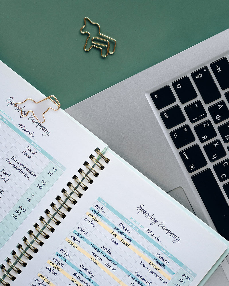 [Australia - AusPower] - Budget Planner Financial Planner –12-Month Goal Setting Budgeting Planner– Expense & Income Tracker, Bill & Receipt Organizer, Debt Payoff Planner – Budget Book Expense Tracker Notebook Budget Planner 