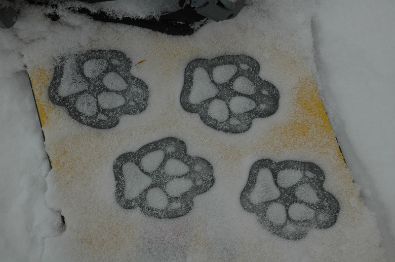 [Australia - AusPower] - Toejamr Stomp Pads - 4 Puppy Paws - Gray 