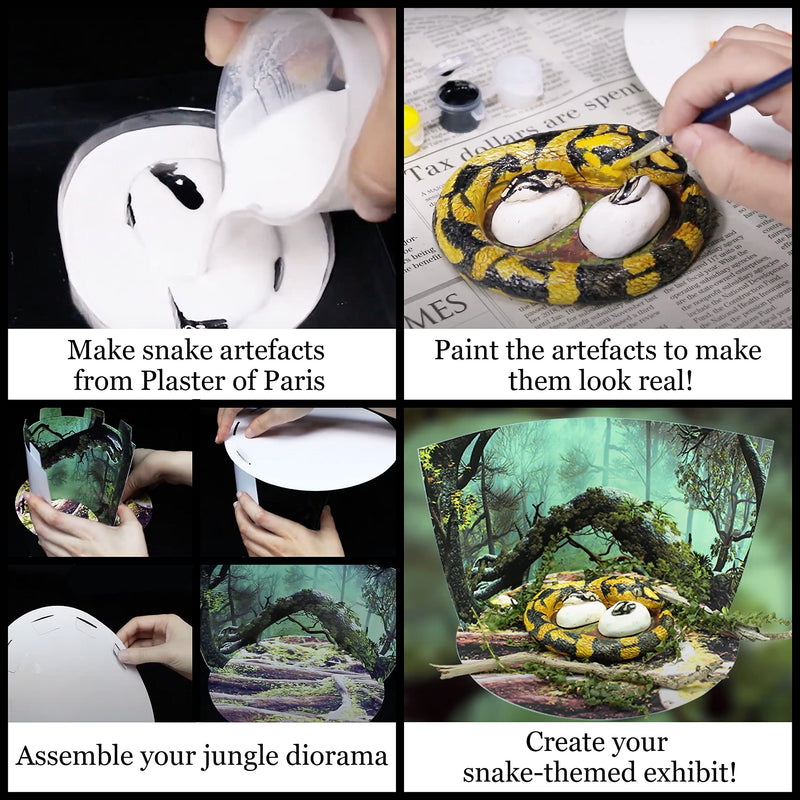 [Australia - AusPower] - WILD ENVIRONMENTAL SCIENCE Extreme Snakes of the World - For Ages 6+ - Create and Customize Models and Dioramas - Study the Most Extreme Animals 