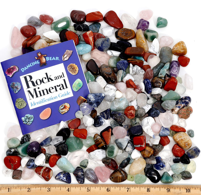 [Australia - AusPower] - 1 Pound Tumbled Polished Natural Gem Stones +24 page Rock & Mineral Book. Stone Average Size ¾ inch. Choose 1 or 2 Pounds. Dancing Bear Brand 1.0 Pounds 