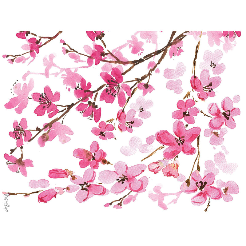 [Australia - AusPower] - Tervis Made in USA Double Walled Sakura Japanese Cherry Blossom Insulated Tumbler Cup Keeps Drinks Cold & Hot, 24oz, Classic - Lidded 