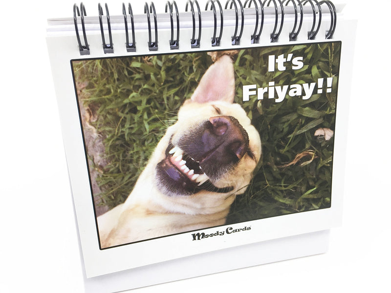 [Australia - AusPower] - Office Gift for Dog Lovers - Moodycards! Make Everyone Laugh with These Adorable and Hilarious Dog Memes - Let The Dogs Tell Everyone How You Feel! A Terrific Office Gift! 25 Different Moods 