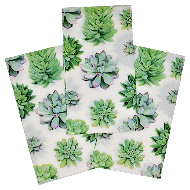 [Australia - AusPower] - 100 Cactus Guest Napkins 3 Ply Disposable Paper Succulent Flower Dinner Hand Napkin for Bathroom Powder Room Wedding Anniversary Holiday Birthday Spring Tea Party Bridal Baby Shower Decorative Towels 