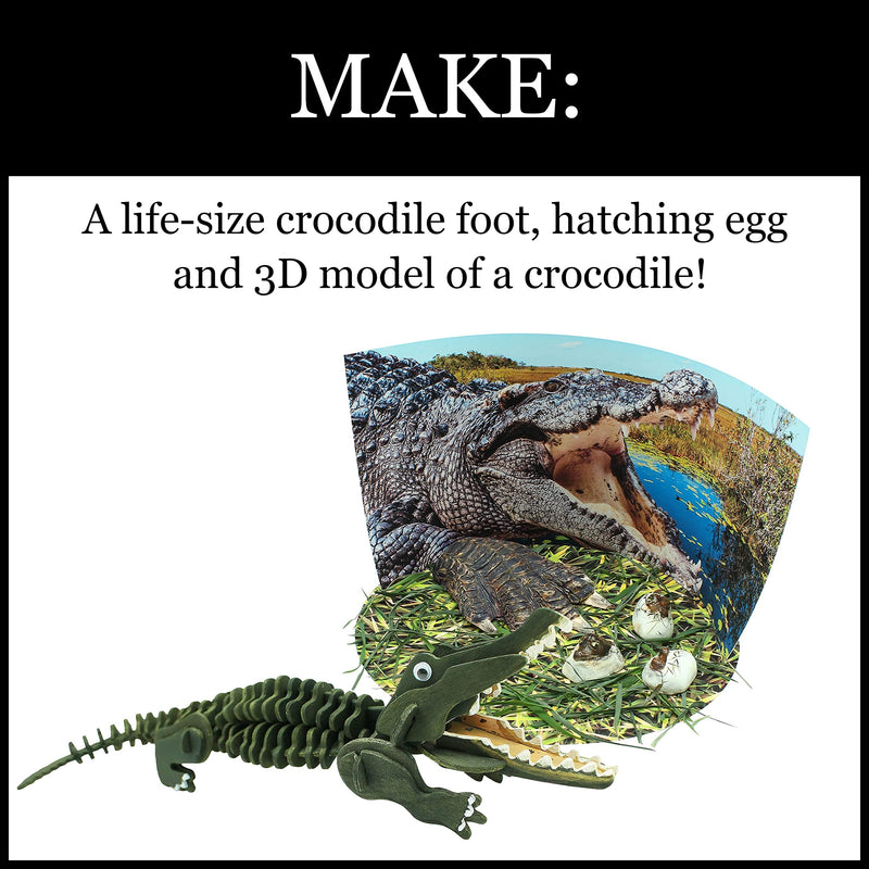 [Australia - AusPower] - WILD ENVIRONMENTAL SCIENCE Extreme Crocodiles of the World - For Ages 6+ - Create and Customize Models and Dioramas - Study the Most Extreme Animals 