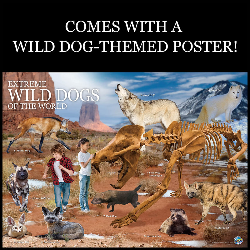 [Australia - AusPower] - WILD ENVIRONMENTAL SCIENCE Extreme Wild Dogs of The World - for Ages 6+ - Create and Customize Models and Dioramas - Study The Most Extreme Animals 