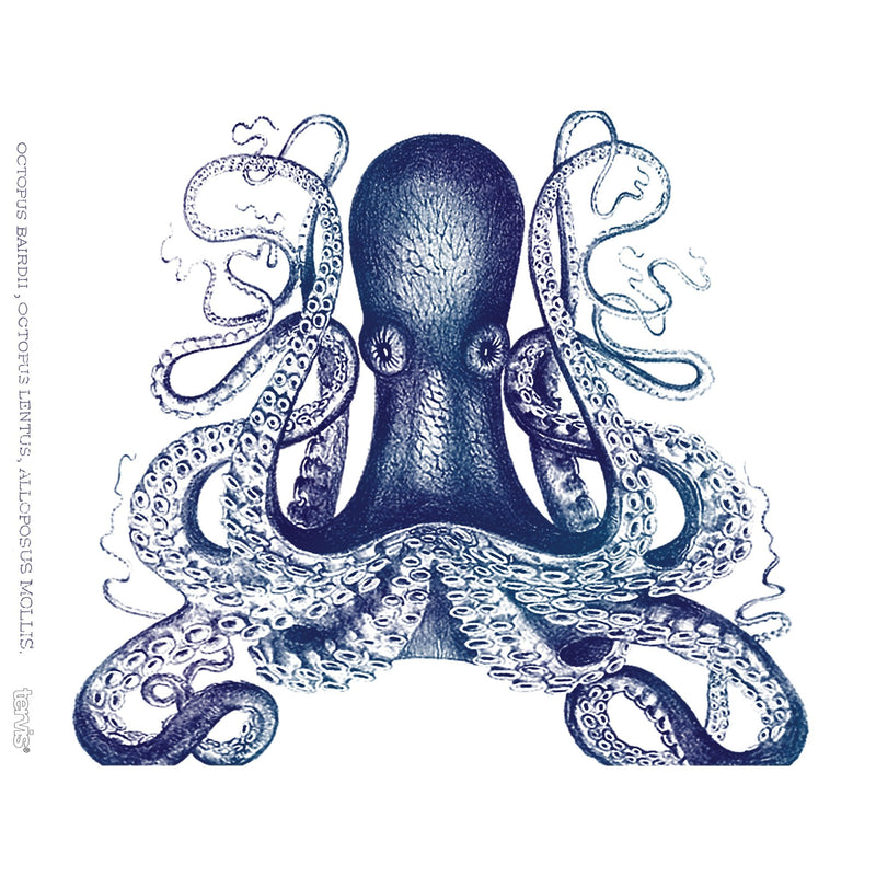 [Australia - AusPower] - Tervis Octopus Tumbler with Wrap and Navy Lid 24oz, Clear 1 Count (Pack of 1) 