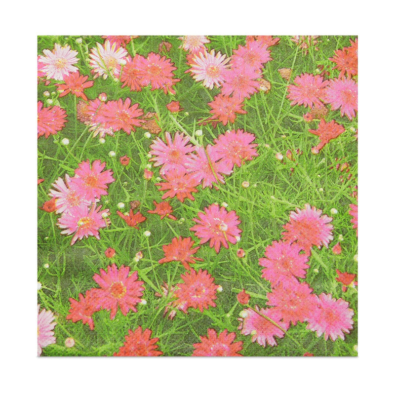 [Australia - AusPower] - Pink Daisy Paper Napkins for Birthday Party Decorations (6.5 x 6.5 In, 100 Pack) 