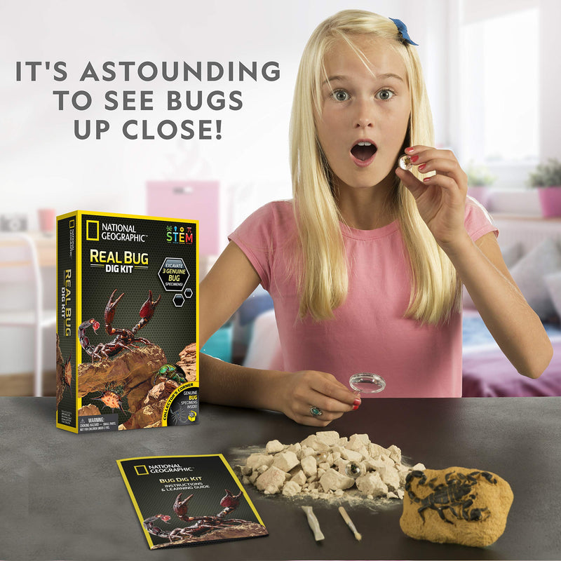 [Australia - AusPower] - NATIONAL GEOGRAPHIC Real Bug Dig Kit - Dig up 3 Real Insects including Spider, Fortune Beetle and Scorpion - Great STEM Science gift Dig Bug 