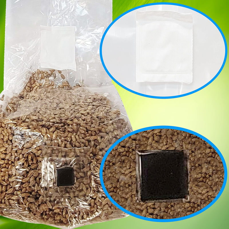 [Australia - AusPower] - Mushroom Grow Bags with Self Healing Injection Port - 15 Bags - Evviva Sciences - 0.2 Micron Premium Filter - Thick 3mm Polypropylene - Autoclavable, Durable, & Tear Resistant 